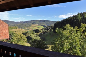 Aussicht vom Balkon