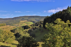 Aussicht vom Balkon